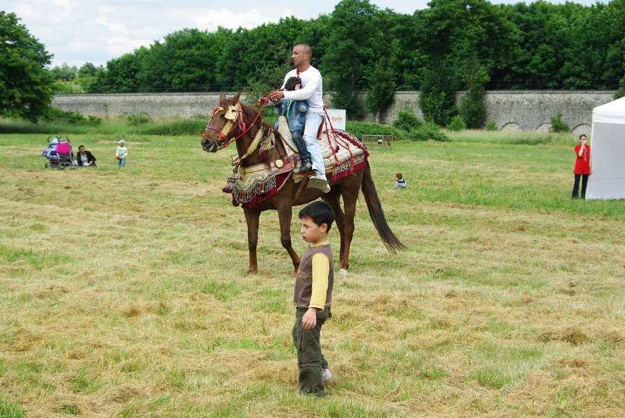 Le Moussem des Cultures 2008 091.jpg